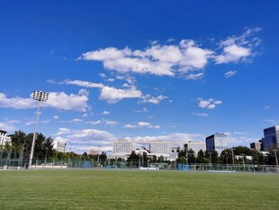 城市边的开阔绿茵草地