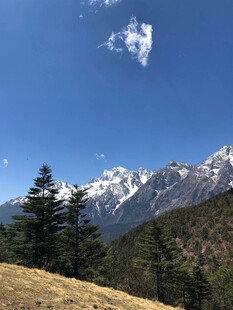 雪山蓝天草原美丽风光