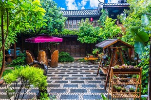 庭院绿植景观闲适小天地