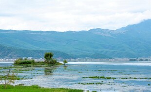 湖畔风景远山近水绿意浓