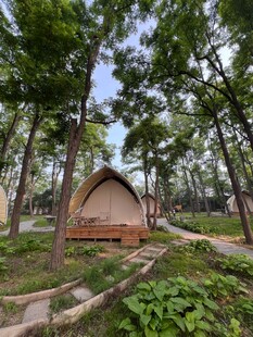 林间木屋自然中的静谧居所