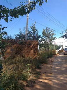 乡村小路旁的自然景致