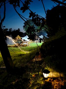 夜晚露营场景中的温馨画面