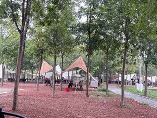 公园树林中的休闲露营场景