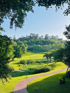 绿意盎然的公园小径景观