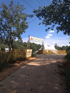 乡村土路旁的户外广告牌