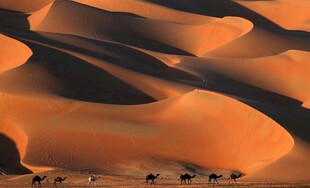 沙漠驼队穿行壮丽沙丘