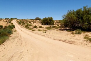 沙漠中的蜿蜒沙土小路