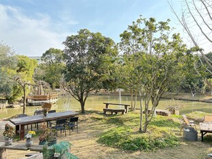 户外休闲庭院绿植景观