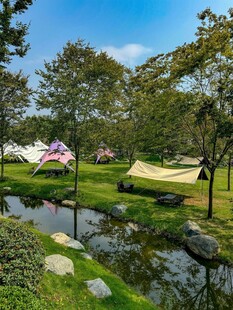 户外惬意的自然休闲场景