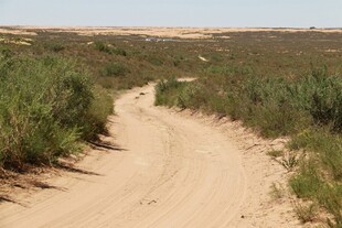 沙漠中的蜿蜒土路