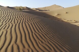 沙漠中的精美沙纹景观