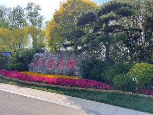 花园景观多彩花卉与绿植