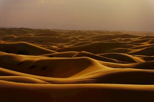金色沙丘沙漠美丽景致