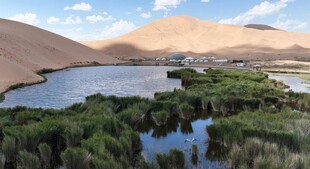 沙漠中的绿洲湖泊景观