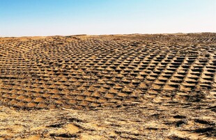 整齐排列的田间土地