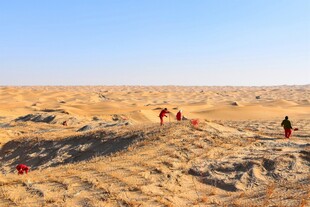 沙漠中的人影探险景象