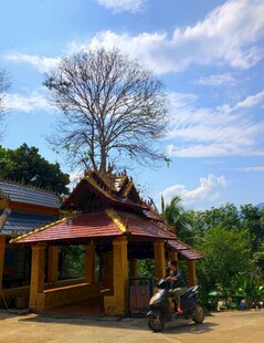 乡村小屋旁的孤树与摩托