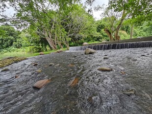 山间溪流与绿意相伴