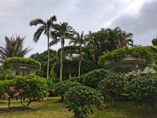 热带庭院绿植景观