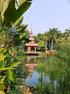 湖畔古亭映于碧水绿植间