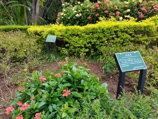 花园中的信息展示牌