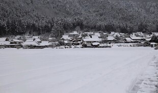 冬日雪覆村庄美景