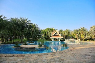 热带风情泳池景观