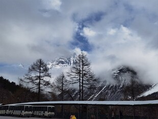 雪山云雾下的树木景观