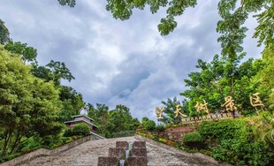 林间小道邂逅自然之美