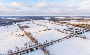 冬日雪覆大地景观