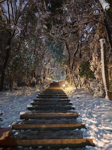 雪林中小径的木质步道