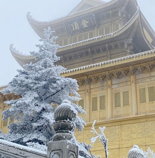 雪中古寺尽显静谧之美