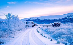 冬日雪路美景
