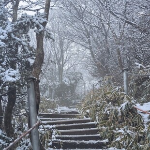 雪后山间石阶的朦胧景致