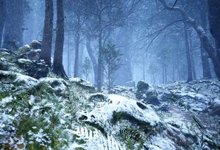 雪覆山林的静谧冬日景象