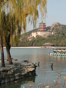 湖畔垂柳下的宁静湖景