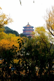 秋日山林中的古典建筑