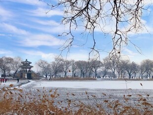 冬日雪景下的开阔景致