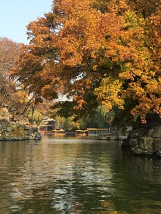 秋日湖畔斑斓树景