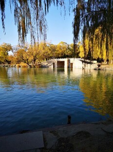 秋日湖畔美景