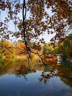 秋日湖畔美景