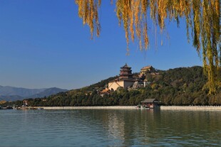 湖畔垂柳映衬远处古建筑