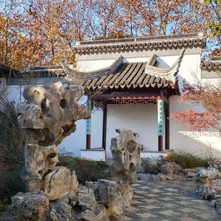 中式庭院景致古朴雅致