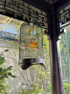 中式窗景下的盎然春色