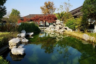 中式园林池塘景观