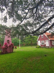 乡村庭院中的温馨景致