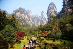 张家界奇峰下的美丽景致