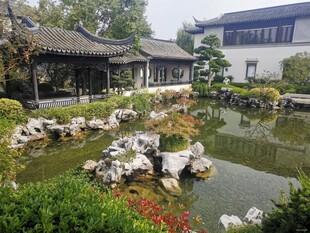 中式园林景观池塘景致