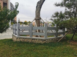 庭院中独特造型的树木围栏